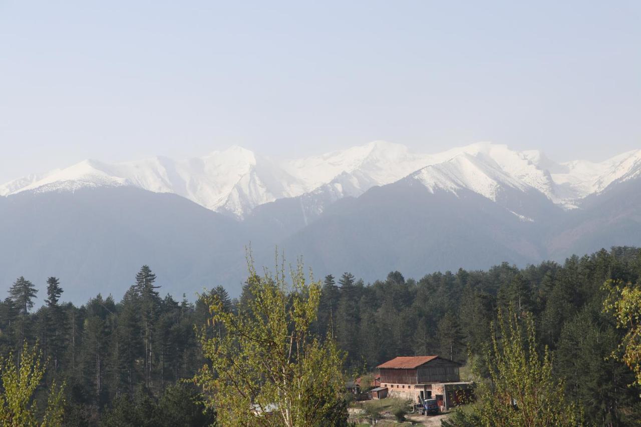 Katarino Spa Hotel Bansko Eksteriør bilde